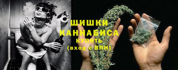 СК Сосновый Бор